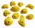 Screw ons set 5 - HOLDZ  - 2